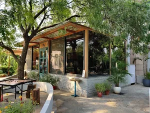 Under The Neem