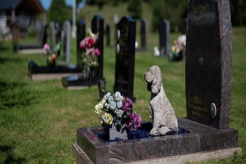 Paws Pet Cremations