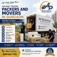 best-packers-and-movers-in-gurgaon-ap-relocation-1-3.png